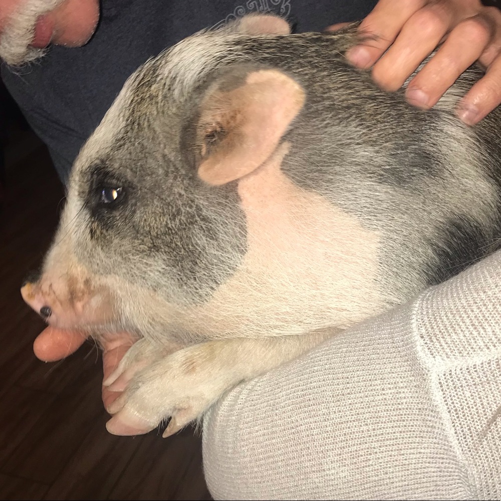 Meet your Posher, Brianna